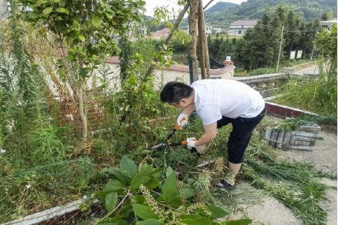 英国威廉希尔公司