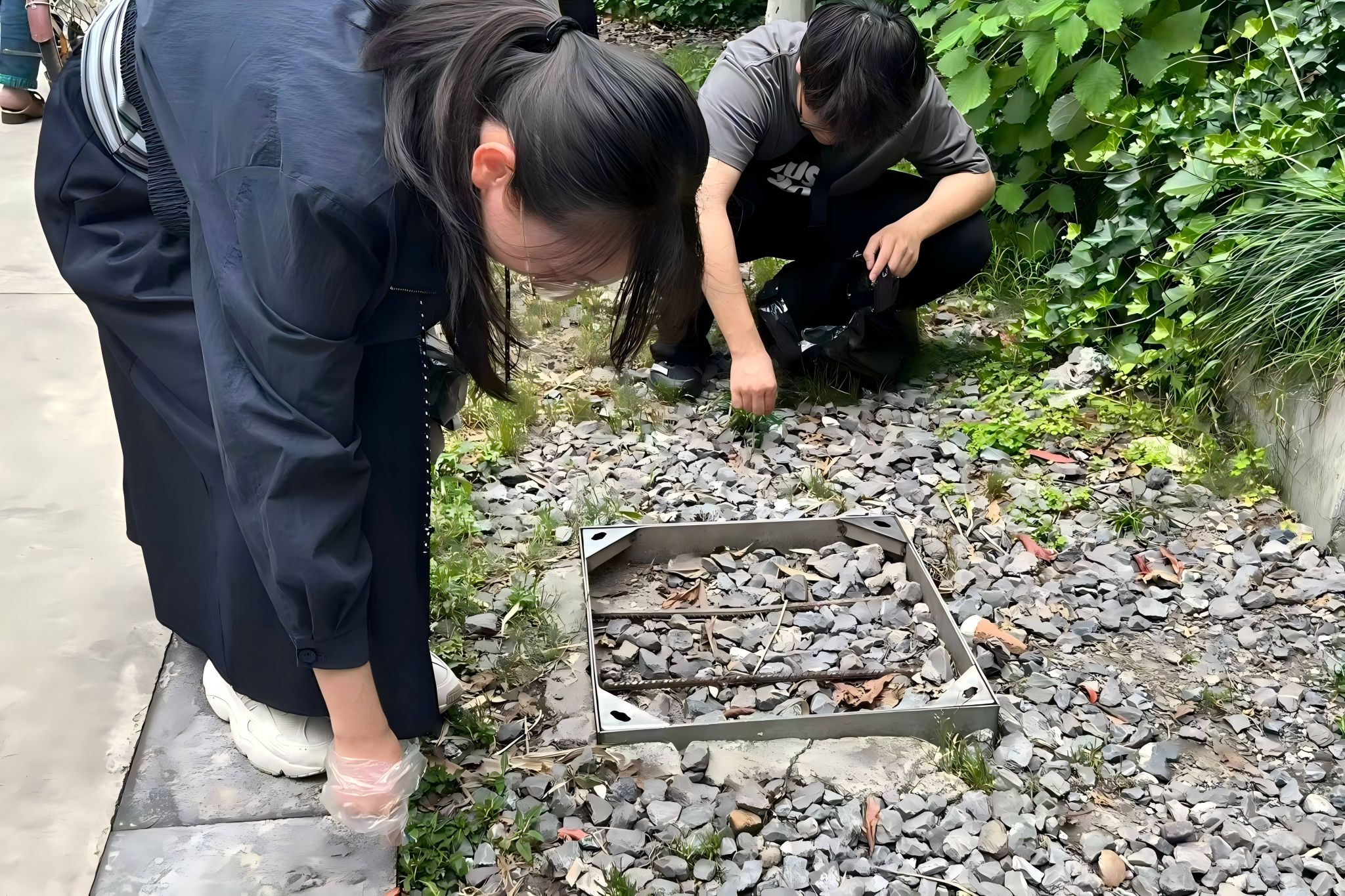 英国威廉希尔公司