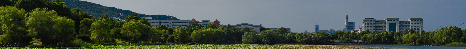 英国威廉希尔公司